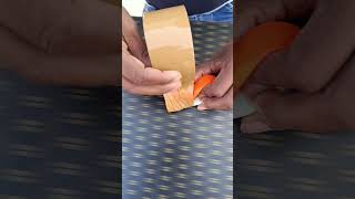 How to make a Train horn Toy experiment shorts [upl. by Sremlahc648]