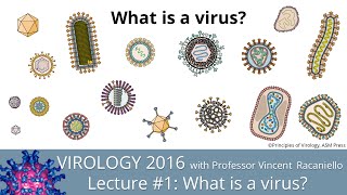 Virology Lectures 2016 1 What is a virus [upl. by Schwarz901]