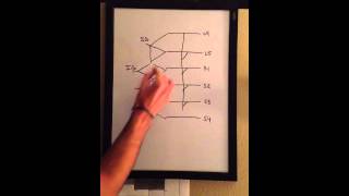 Sacral plexus [upl. by Sophy]