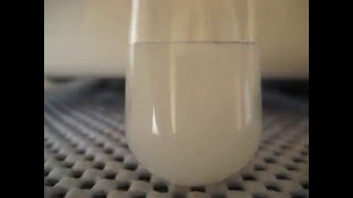 Sodium benzoate and hydrochloric acid [upl. by Hama799]