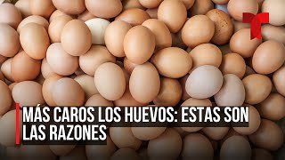 Dramático aumento en el precio de la docena de huevos [upl. by Quartana]