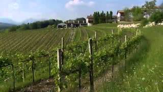 Der italienische Schaumwein Prosecco  Welterfolge aus der Provinz 04  Euromaxx serie  Euromaxx [upl. by Prentice]