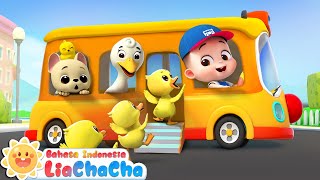 Bus Hewan Kecil  Lagu Anakanak Bus 🚌  Roda di Bis  Lagu Lucu  LiaChaCha Bahasa Indonesia [upl. by Alexa126]