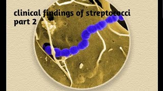 Clinical findings of streptococci  part 2 [upl. by Rozina]