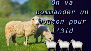 Commande du mouton pour laid partie1🐑 [upl. by Collayer]