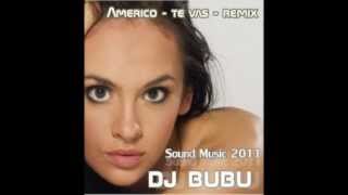 Americo  Te Vas Remix  DJ BUBU  Pellegrinimp4 [upl. by Dmitri459]