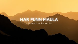 HAR FUNN MAULA Slowed  Reverb [upl. by Atiana215]