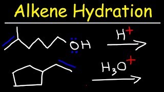 Hydration of Alkenes Reaction Mechanism [upl. by Novahc264]