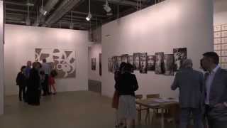 Art Basel in Basel 2014  190614 [upl. by Ciccia]