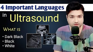 4 Important Language in Ultrasound by Dr Ali Waqar [upl. by Macleod]