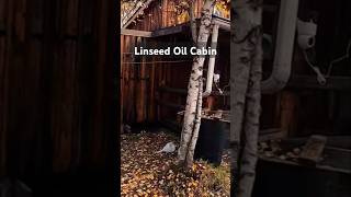 Linseed Oil Secrets for a STUNNING Cabin [upl. by Sikorski]