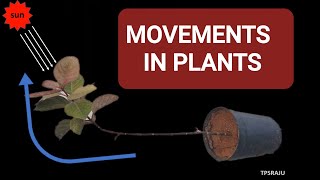 TROPIC and NASTIC MOVEMENTS IN PLANTS [upl. by Khorma24]