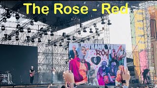 The Rose 🌹  Red Lollapalooza India 2024 KPop [upl. by Ynehteb]