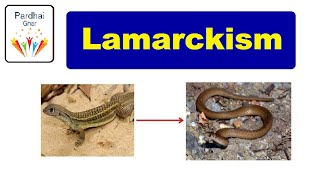 Lamarck Theory Of Evolution  Lamarckism pardhaighar [upl. by Bjorn]