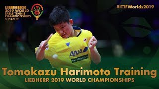 Tomokazu Harimoto Training  Liebherr 2019 World Table Tennis Championships [upl. by Sert]