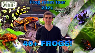 FROGROOM TOUR 2021 40 Frogs [upl. by Waylen]