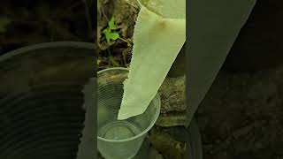 water filter technique sciencesciencefacts [upl. by Iong573]