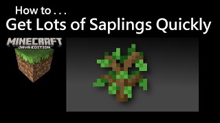 How To Get Lots of Saplings Quickly Minecraft Java [upl. by Haldeman]