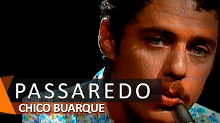 Chico Buarque Passaredo DVD Uma Palavra [upl. by Muhcon246]