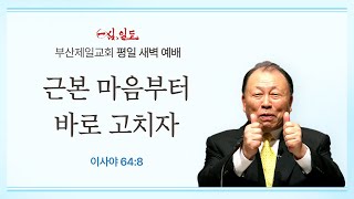 4단계회개 24년 11월 12일 화요일 새벽 [upl. by Dlareme101]