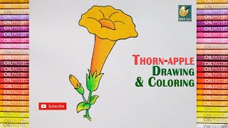 How to Draw a Thornapple l Flower Drawing l Kids Drawing Class l Pastels Color l bjiart [upl. by Nilcaj469]