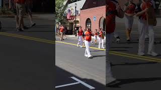 Marlborough Panthers parade baseball [upl. by Towland]