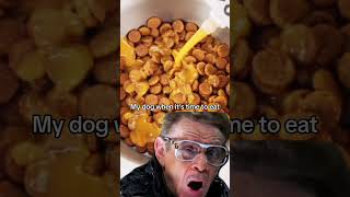 Jazzed every time dogsauce fiberfordogs dogs mealtopper trending bonebrothfordogs memes [upl. by Dnartreb]