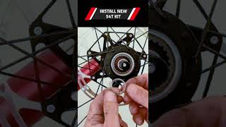 How to upgrade the DT Swiss ratchet system From 18t to 54t dtswiss gravelbike bikemechanic [upl. by Ecylla]