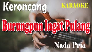 BURUNG PUN INGAT PULANG ll KARAOKE KERONCONG ll NIA DANIATY ll NADA PRIA CISDO [upl. by Ahsytal]