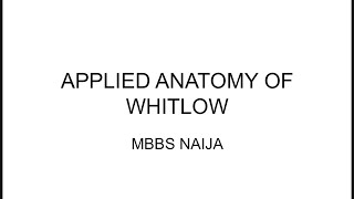 APPLIED ANATOMY HERPETIC WHITLOW [upl. by Weissmann]