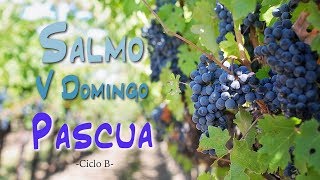 SALMO DEL 5º DOMINGO DE PASCUA  CICLO B [upl. by Asyal384]