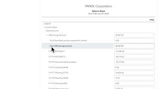 RightTool PRO Balance Sheet Adjuster BETA [upl. by Hollis]