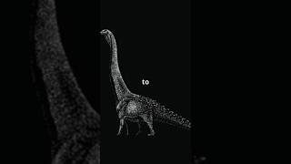 🌍🦖 Meet Patagotitan The Giant Titanosaur 🦖🌍 shorts [upl. by Dotti]