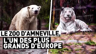 LE ZOO DAMNEVILLE LUN DES PLUS GRANDS DEUROPE [upl. by Ajed200]