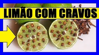 🔴 LIMÃO com CRAVO Repelente de moscas [upl. by Nyved]