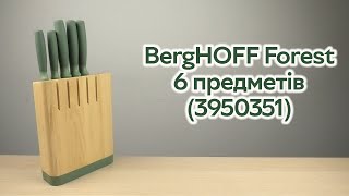 Розпаковка BergHOFF Forest в колоді 6 предметів 3950351 [upl. by Debo171]