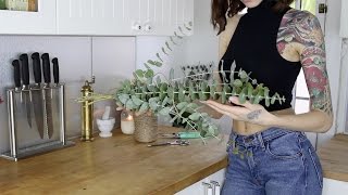 Eucalyptus Shower Hanger DIY  Bathroom Hack [upl. by Dleifxam]