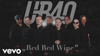 UB40  Red Red Wine Visualizer [upl. by Akimrehs789]