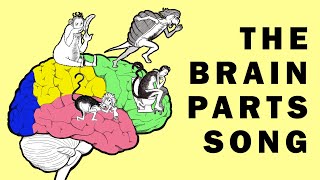 Parts of the Brain Song [upl. by Elbag395]