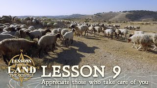 Appreciate Those who Take Care of You Sheep and their Shepherd [upl. by Ritz]