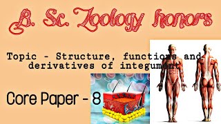 Complete notes on  structure functions and derivatives of integument [upl. by Yelrebmyk]