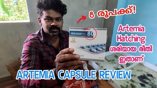 Artemia capsule malayalam  how to hatch artemia eggs 🔥 artemia [upl. by Airalednac]