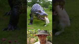 Crocodile and rabbit animals rabbit wildlife viralvideo shortsvideo [upl. by Rimisac624]