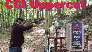 First Defensive 22 LR Jacketed Hollow Point CCI Uppercut 22 LR Ballistic Test VS CCI Stinger [upl. by Ydda]