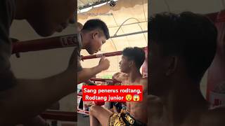 fix penerus rodtang sang rodtang junior 😯😍😮 boxing boxingskill fight mma bangghalyh [upl. by Denton]