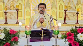 Holy Mass November 13 Monday I 530 AM I Malayalam I Syro Malabar I Fr Bineesh Augustine [upl. by Radley]