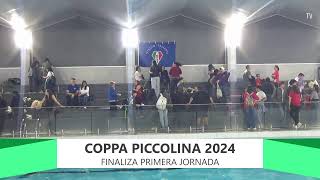 Coppa Piccolina 2024  Nado Sincronizado [upl. by Eissert]