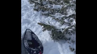 Snowmobilers survive neardeadly avalanche Saturday aftermath [upl. by Annoved]