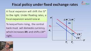 The Mundell Fleming model [upl. by Olnton]