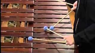 Marimba concerto quotCorridorsquot by Slavko Shuklar Performed by Nebojsa Zivkovic [upl. by Enilarak]